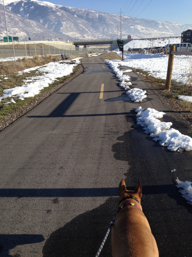 Legacy Parkway is an ideal spot for Utah Dogs to get out and stretch their legs. Dogs in Utah will appreciate this Dog Park in Davis County, Utah for its dog-friendly space