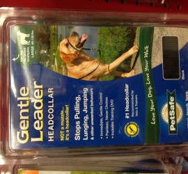 Gentle Leader Dog Collar at Petco